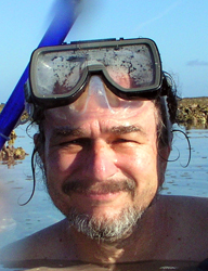DG by Art Siegel